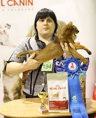 �������� ����� 18-19 ������� 2014 WCF-����� 4-194-169A3311 copy.jpg